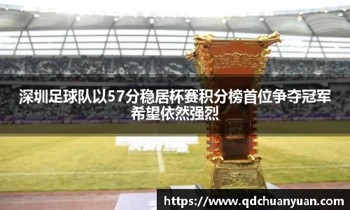深圳足球队以57分稳居杯赛积分榜首位争夺冠军希望依然强烈